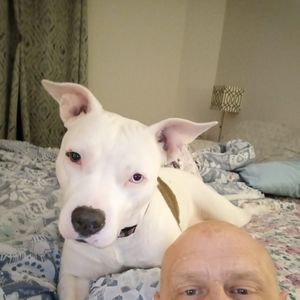 Meet your Posher, Marco